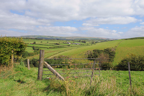 Farm Sales and Lettings
